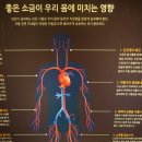 증도소금박물관 이미지