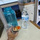 고래꿈호텔 | 근교여행 : 몬터레이 / 모스랜딩 고래투어 웨일워칭