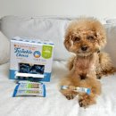 이편한덴탈랩 | 강아지덴탈껌 : 간편한 노견 치석관리 펫퍼스 트윙클츄 S 사이즈 후기