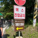 신원사 | 공주 가볼만한곳 계룡산 신원사 다녀온 후기, 신원사에 사는 고양이랑 신나게 놀았다