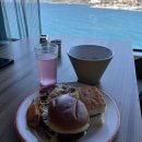 (주)로얄관광 | 로얄캐리비안 크루즈 : 4-5일차 터키 쿠사다시, 그리스 미코노스 섬 기항지 관광 후기