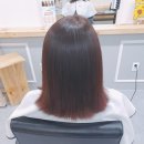 스텔라헤어 이미지