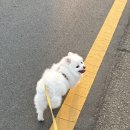 세븐일레븐(거제매미성점) 이미지