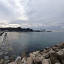 월내물양장 이미지