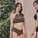 스칼렛웨어 이미지