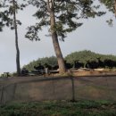 칠포농장 이미지