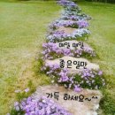 와우로 15번길 이미지