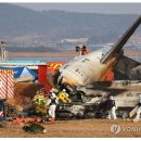 메이데이 이미지