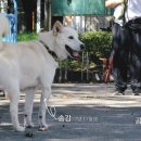 송강마루 이미지