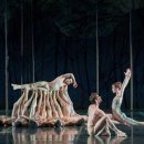 덴버하우스 이미지