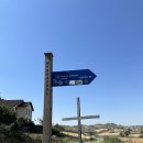 장에스테 | 산티아고 순례길 푸엔테라레이나 에스테야 로스아르코스까지