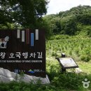 달을 품은 산, ‘왕의 길’을 받들다, 경주 함월산 왕의 길 이미지