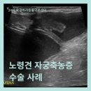 상동물병원 이미지