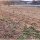 응암3리_마을회관 이미지