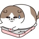 병장부대찌개 이미지