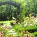 장미원 (산림욕장) 이미지