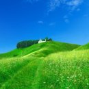 초원의 빛 이미지