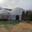 동천자연식물원 네이버블로그