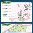 매화1길 이미지