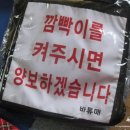 대열주행용 등받이 제작+눈멀표 하남 옹기꽃게장 후기
