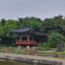 호수공원14로 이미지