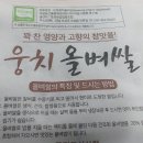 보성농협 녹차잡곡사업소 | 2023 웅치 올벼쌀 (찐쌀 올기쌀) (출처 : 스마트스토어 &gt; 보성농협 녹차밭이야기 | 네이버 스마트스토어)