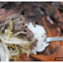 선사한우마을 이미지