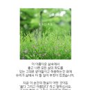 눈부신오늘 - 전주시 완산구 따박골6길 51-7 | 눈부신오늘
