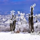 보건소사거리1(보건소앞) 이미지