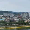강또바기