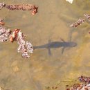 안성(부산) 이미지