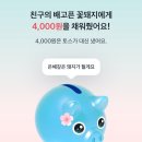 꽃돼지 이미지