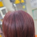 미쓰백헤어 이미지