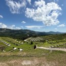 보령시모란공원 식당 이미지