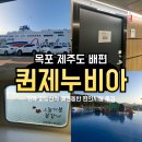 퀸오락실 | 목포에서 제주도 배편 시간 가격 차량 선적 예약 비용 애견동반 퀸제누비아 펫스위트룸 후기