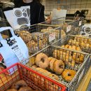대영스넥 | [런덧맛집] 직접 구운 베이글이 맛있는 곳, B BAGEL STRAND