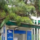 (주)월드트레블