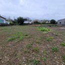 창천리-1 이미지