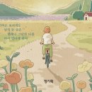 정.기획