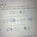 가계도 분석시 혈액형 나타낼때요 이미지