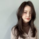 브라운빈 이미지