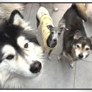 아이조아 요양보호소 경기광주 이미지