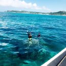 구명카써비스 이미지