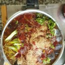 평화강변수목캠핑장 이미지