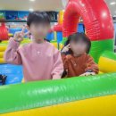 한국대룡태권도 네이버블로그