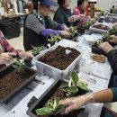 원예,미술치유 이미지