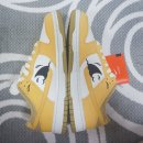 넥스트클럽 이미지