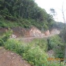 김삿갓면-2 이미지