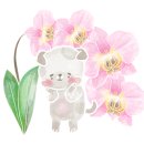 토담고디탕 이미지