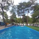 후평숲캠핑장 | 충청 괴산 후평숲캠핑장 후기!! – ☀️🌲여름날의 쉼표, 후평숲캠핑장에서 보낸 힐링!! 한여름, 숲속...